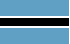 Panel rapide TGM au Botswana