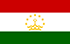 Panel TGM - Sondages pour gagner de l'argent au Tadjikistan